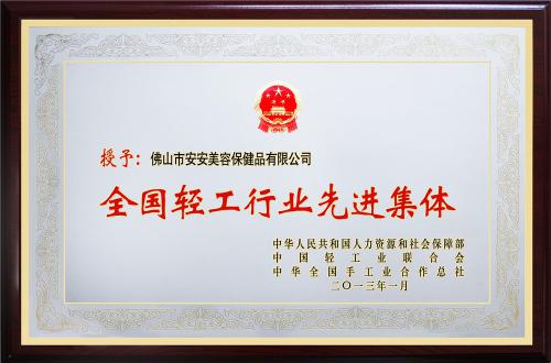 2012年全國輕工行業先進集體